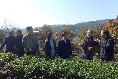 福建省臺(tái)聯(lián)赴漳州調(diào)研兩岸融合發(fā)展工作，聚焦農(nóng)副產(chǎn)品銷(xiāo)售新路徑